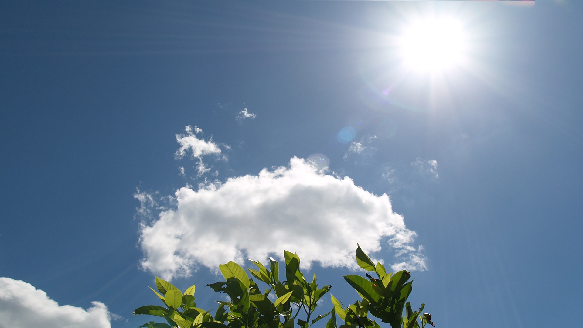 光導(dǎo)照明與電能照明主要的區(qū)別是什么？